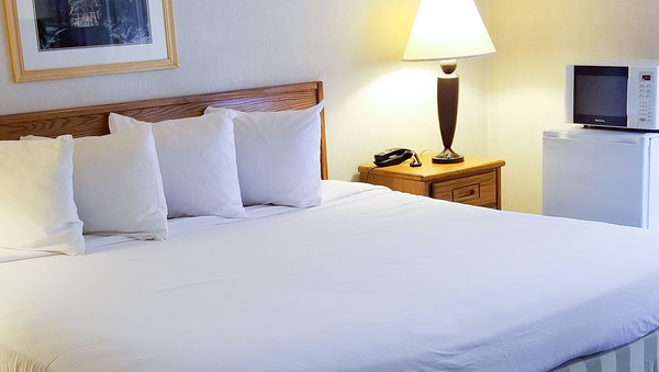 1 King Bed Non Smoking Photo 2